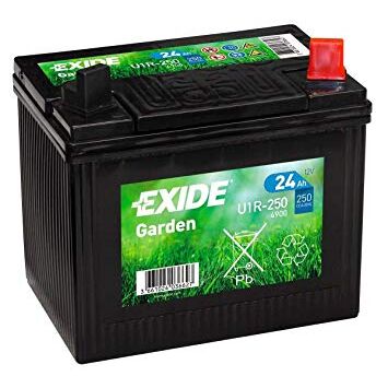 EXIDE GARDEN - 250A - 24AH